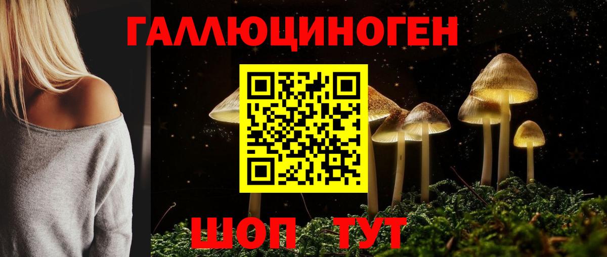 Галлюциногенные грибы Cubensis  сколько стоит  Улан-Удэ  Вход с VPN 